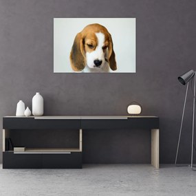 Beagle képe (90x60 cm)