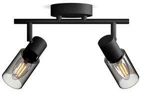 Philips - Spotlámpa PALMS 2xE14/25W/230V