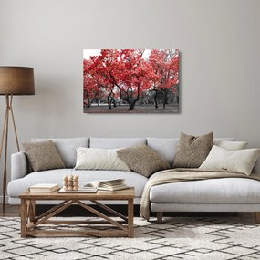 Kép - vörös fák, Central Park, New York (90x60 cm)