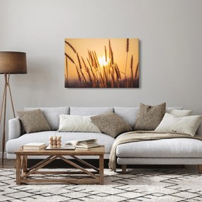 Kép - Füvek a napon (90x60 cm)