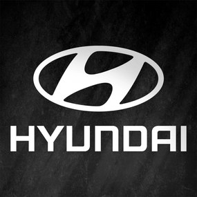 Fa autó logo a falra - Hyundai