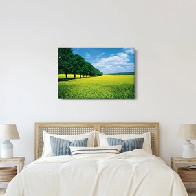 A mező képe egy sikátorral (90x60 cm)