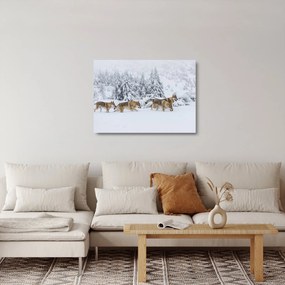 Üveg kép - Farkasok a hegyekben (70x50 cm)