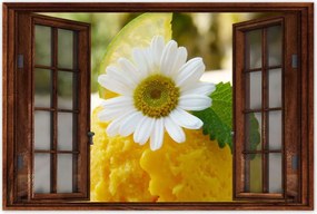 Poszterek 90x60 Gyümölcsös sárgabarack fagylalt