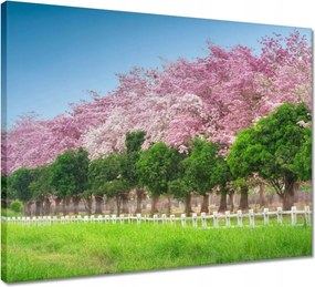 Vászonkép 50x40 Cseresznyés tájkép