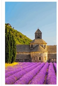 Poszter Provence levendulamezőkkel