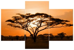 Gario Vászonkép Gyönyöru afrikai táj - 3 részes Méret: 90 x 30 cm