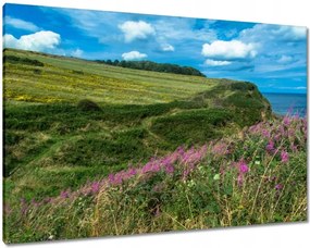 Vászonkép 100x70 Virágos rét a tengerparton
