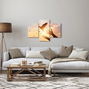 Kép - Galamb, repülj! (90x60 cm)