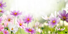 Fotó kép edzett üveg Virágok a réten 140x70