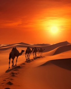 Poszter 40x50cm Karaván a sivatagban