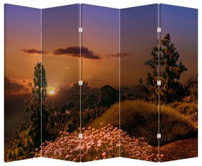 Paraván - Természet naplementekor (210x170 cm)