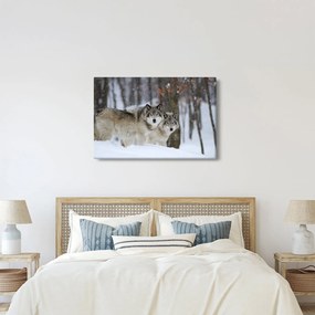 Kép - Farkasok télen (90x60 cm)