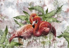 Fotótapéta - Flamingók betonfalon (147x102 cm)