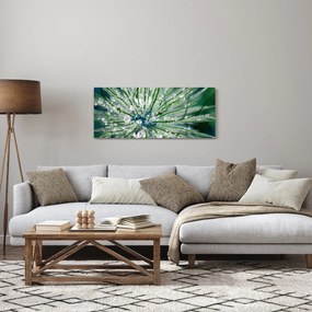 Kép - Makro kép egy virágról (120x50 cm)