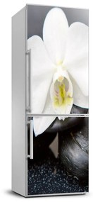 Matrica hűtőre Orchidea FridgeStick-70x190-f-143014442