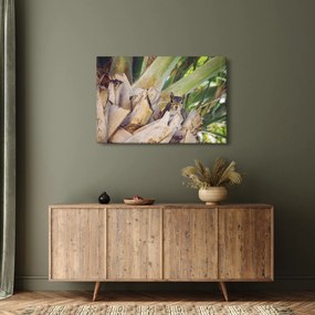 Mókus képe a fán (90x60 cm)
