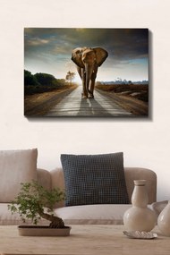 Kanvas vászonkép, 70×100 cm – TR529TCR1570