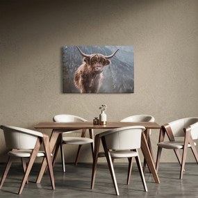Kép - Highlander tehén (90x60 cm)
