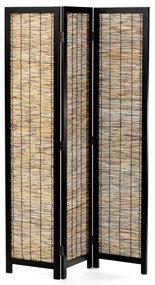 Barna Paraván. EF-L174 BK