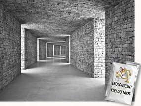 Fotótapéta Flizelina Alagút Folyosó Fal Kő Tégla 3D 250x175 ragasztó