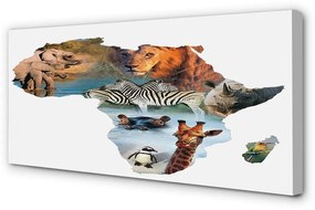Canvas képek Zebra zsiráf tigris 100x50 cm