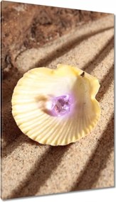 Vászonkép 80x120 Kagyló a tengerparton