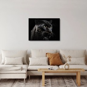 Üveg kép - Fekete Párduc (70x50 cm)