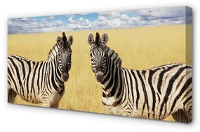 Canvas képek zebra box 100x50 cm