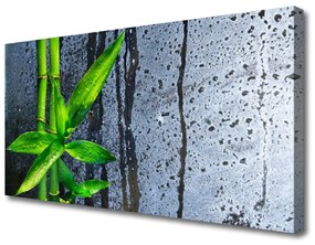 Vászonfotó Bamboo Leaf Nature Plant 100x50 cm