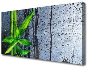 Vászonfotó Bamboo Leaf Nature Plant 120x60 cm