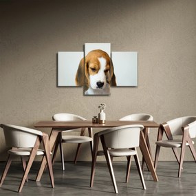 Beagle képe (90x60 cm)
