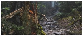 Kép - Az erdőben (120x50 cm)