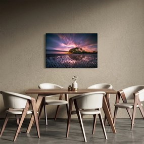 Egy fa a tengerparton képe (90x60 cm)