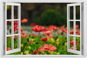 Poszterek 90x60 Pipacs Virágok