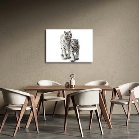 Kép - A fehér tigris (70x50 cm)