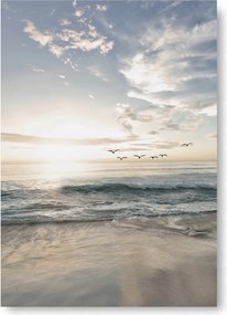 Tengerpart Madarak poszter kép B1 100x70cm #115