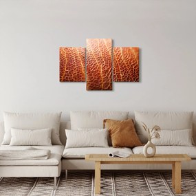 Kép - Textúra részlet (90x60 cm)