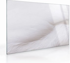 Üveg kép - Fehér toll (70x50 cm)