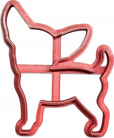 Chihuahua Kutya alakĂș tortaforma