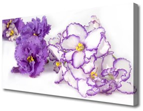 Canvas kép Természet virág növény 125x50 cm