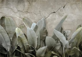 Fotótapéta Banánlevél a falon 250x175 Öko-belső textúra +ragasztó