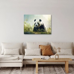 Kép - Panda (70x50 cm)