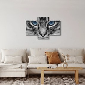 Macska képe (90x60 cm)