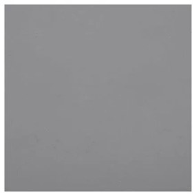 Porcelán tálka kutyáknak ø 21,5 cm Coppa Slate M/L – MiaCara