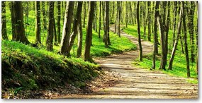 Fotótapéta üvegfalra Ösvény az erdőben 140x70