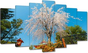 Vászonkép 140x80 Virágzó cseresznye