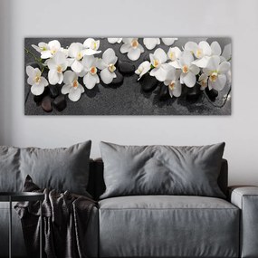 Vászonkép, 30×80 cm – TR483TNS1167