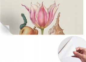 Öntapadós Dekoratív Fotótapéta Hálószobába Természetes szimbiózis 250x104