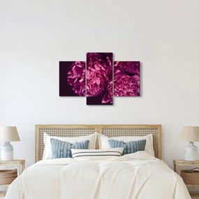 Kép - Csokor pünkösdi rózsa (90x60 cm)